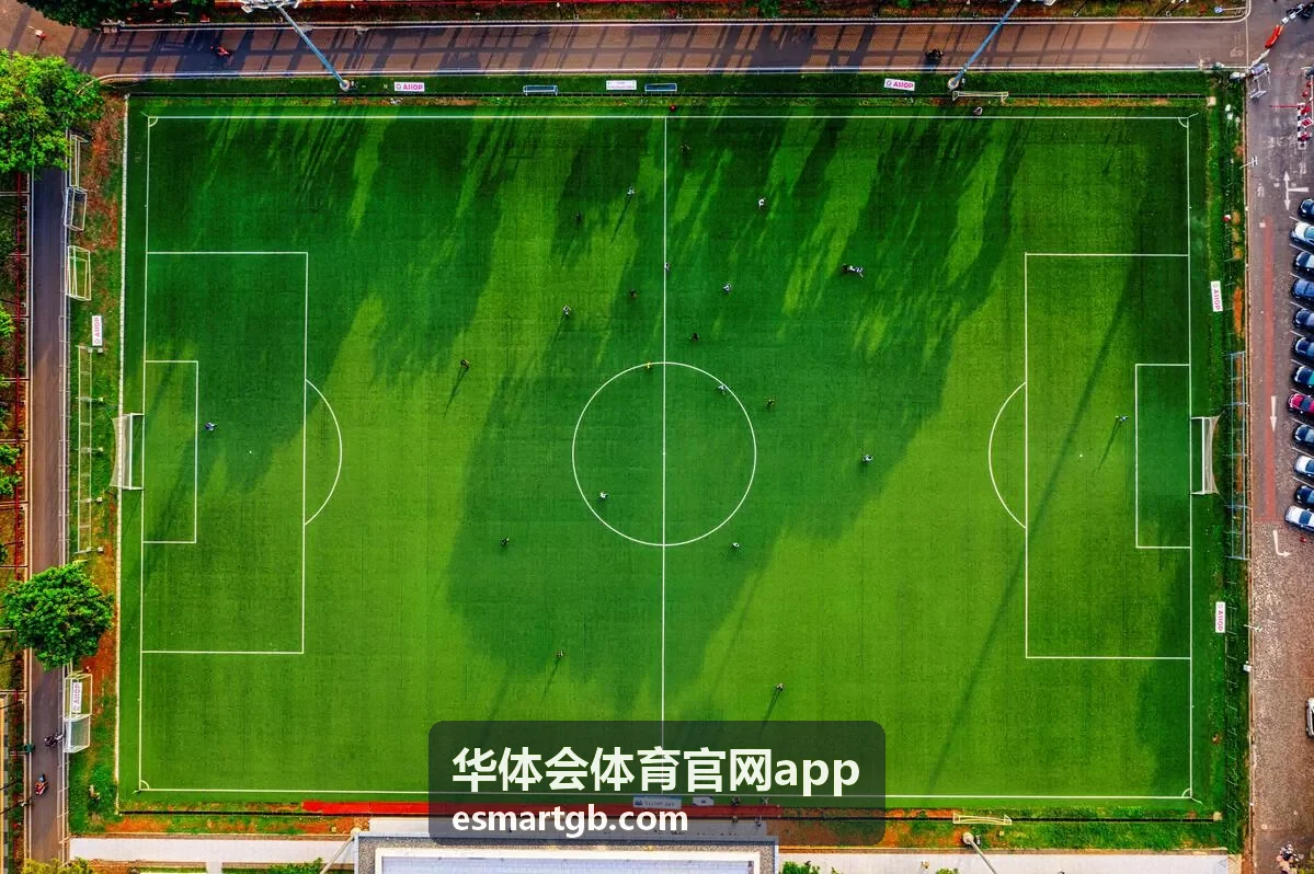 华体会体育官网app帮助中心自助排查事项示例图